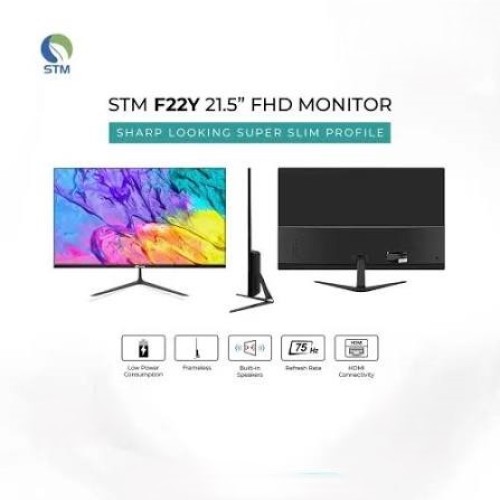 STM F22Y 21.5 inch FHD Monitor